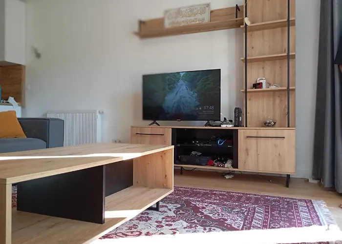 公寓 Ilidza Family 塞拉耶佛